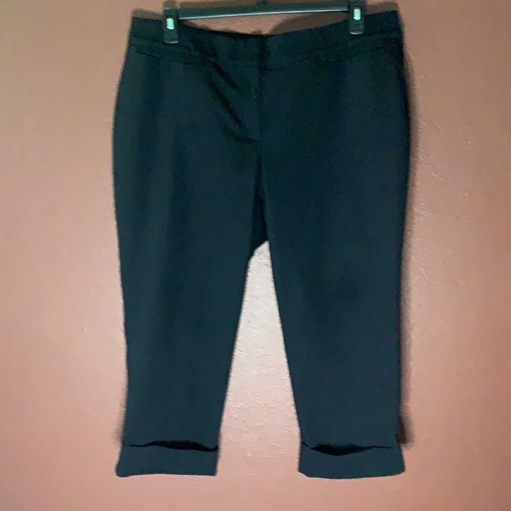Lane Bryant Crops